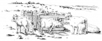 20_vaches.jpg
