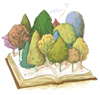 25_foret.jpg