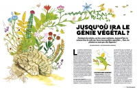 25_tsa339inteligence-des-plantes-1.jpg