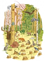 25_tsentretien3foretcouleur2.jpg